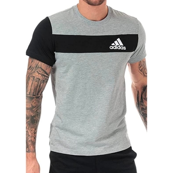 Vêtements Homme T-shirts manches courtes adidas Originals EB7571 Gris