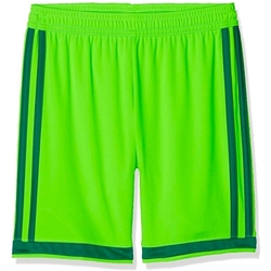 Vêtements Garçon Shorts / Bermudas adidas Originals CF9598-BIMBO Vert