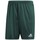 Vêtements Garçon Shorts / Bermudas adidas Originals DM1698-BIMBO Vert