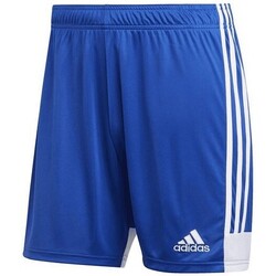Vêtements Homme Shorts / Bermudas adidas Originals DP3682 Bleu