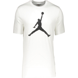 Vêtements Homme T-shirts manches courtes Nike CJ0921 Blanc