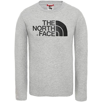 Vêtements Garçon T-shirts logga manches longues The North Face NF0A3S3B Gris