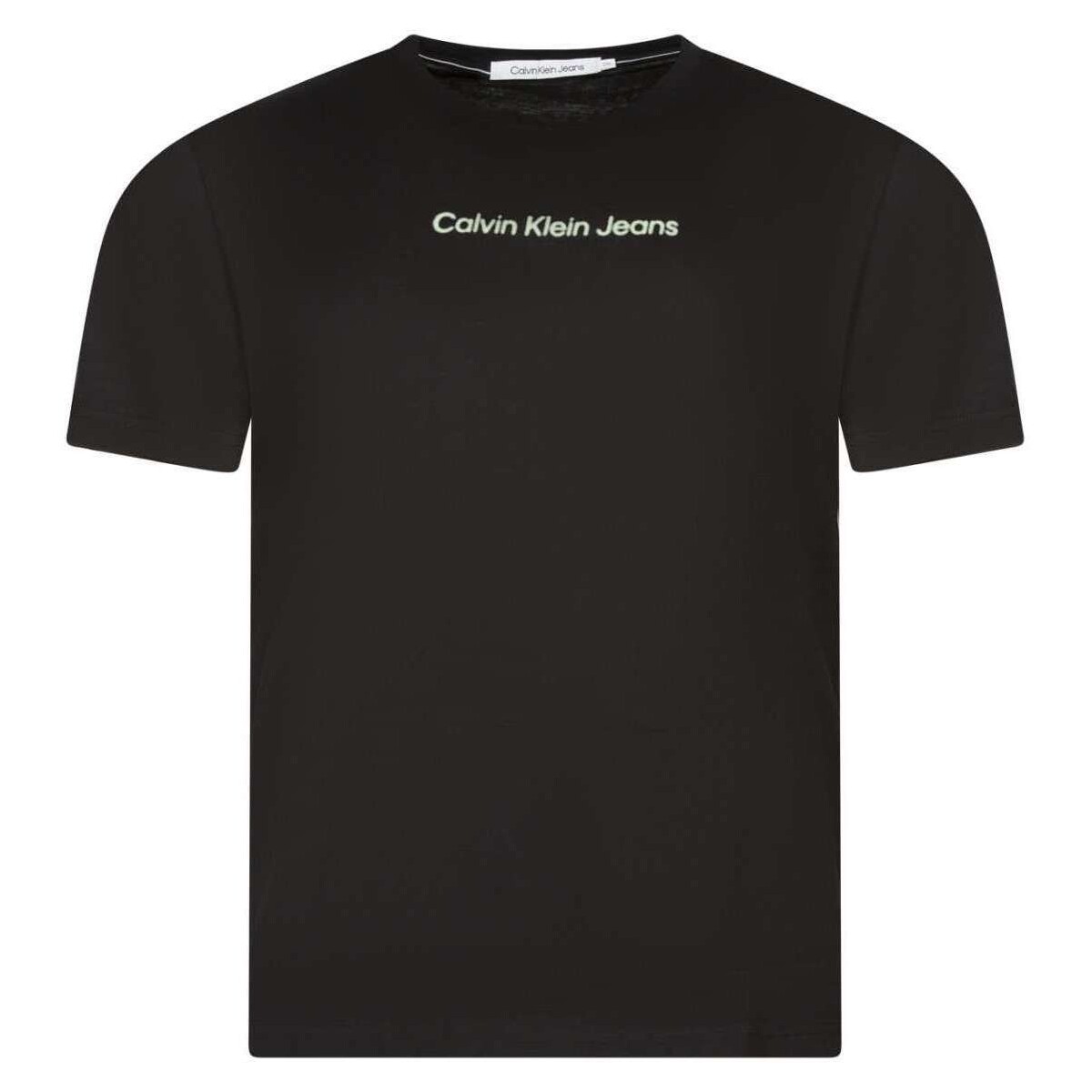 Vêtements Homme T-shirts manches courtes CK Collection 160994VTPE24 Noir