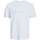 Vêtements Homme T-shirts manches courtes Jack & Jones 161357VTPE24 Blanc