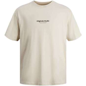 Vêtements Homme T-shirts manches courtes Jack & Jones 161467VTPE24 Beige