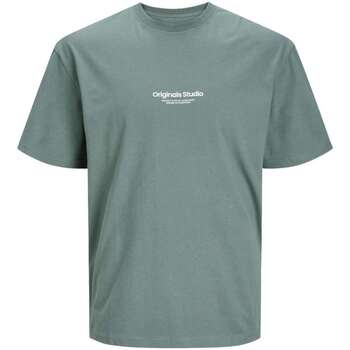 Vêtements Homme T-shirts manches courtes Jack & Jones 161468VTPE24 Kaki