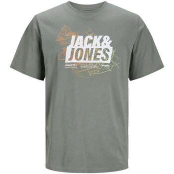 Vêtements Garçon T-shirts geripptes manches courtes Jack & Jones 161525VTPE24 Kaki