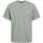 Vêtements Homme T-shirts manches courtes Premium By Jack & Jones 162404VTPE24 Vert