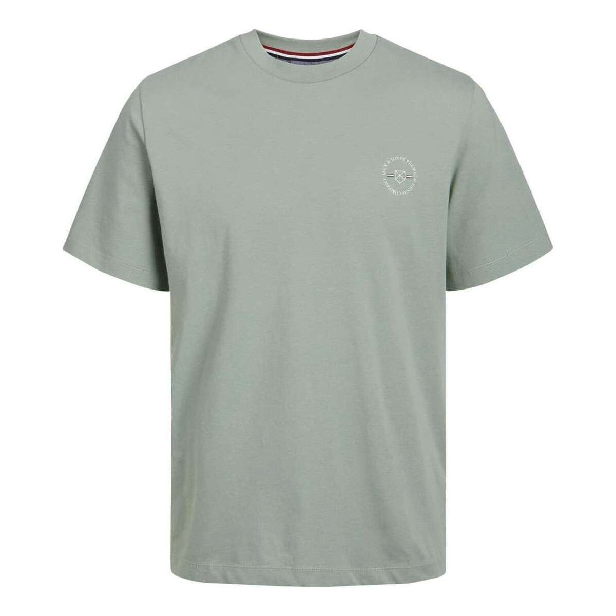 Vêtements Homme T-shirts manches courtes Premium By Jack & Jones 162404VTPE24 Vert