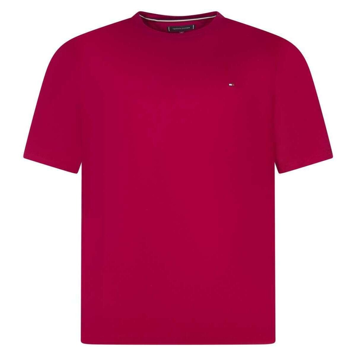 Vêtements Homme T-shirts manches courtes Tommy Hilfiger 162915VTPE24 Rose