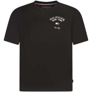 Vêtements Homme T-shirts manches courtes Tommy Hilfiger 162917VTPE24 Noir