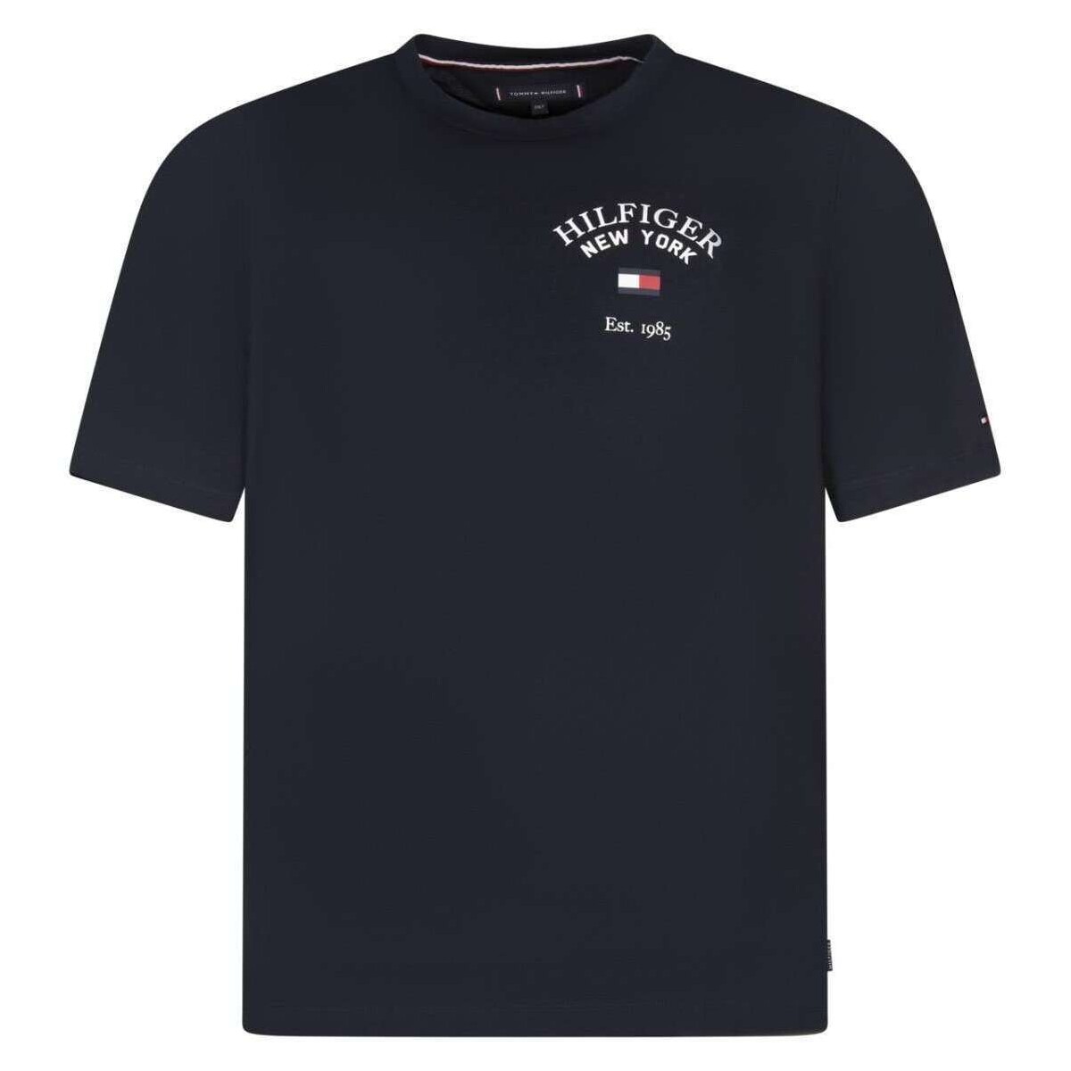Vêtements Homme T-shirts manches courtes Tommy Hilfiger 162918VTPE24 Marine