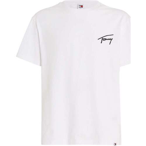 Vêtements Homme T-shirts manches courtes Tommy Jeans 163312VTPE24 Blanc