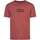 Vêtements Homme T-shirts manches courtes Levi's 163768VTPE24 Rouge