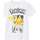 Vêtements Garçon T-shirts manches courtes Name it 164332VTPE24 Blanc