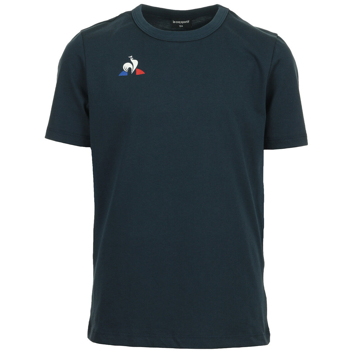 Vêtements Garçon T-shirts manches courtes Le Coq Sportif Tee Ss Presentation Bleu