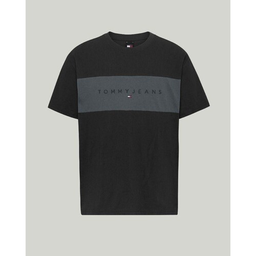 Vêtements Homme T-shirts manches courtes Tommy Hilfiger DM0DM18269BDS Noir