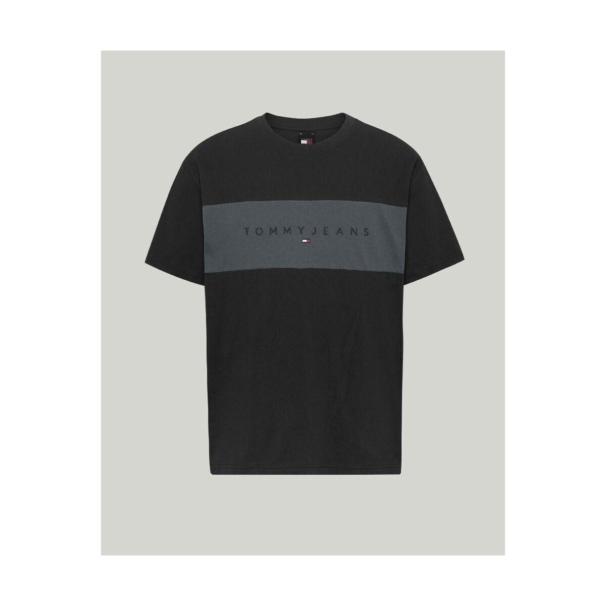 Vêtements Homme T-shirts manches courtes Tommy Hilfiger DM0DM18269BDS Noir