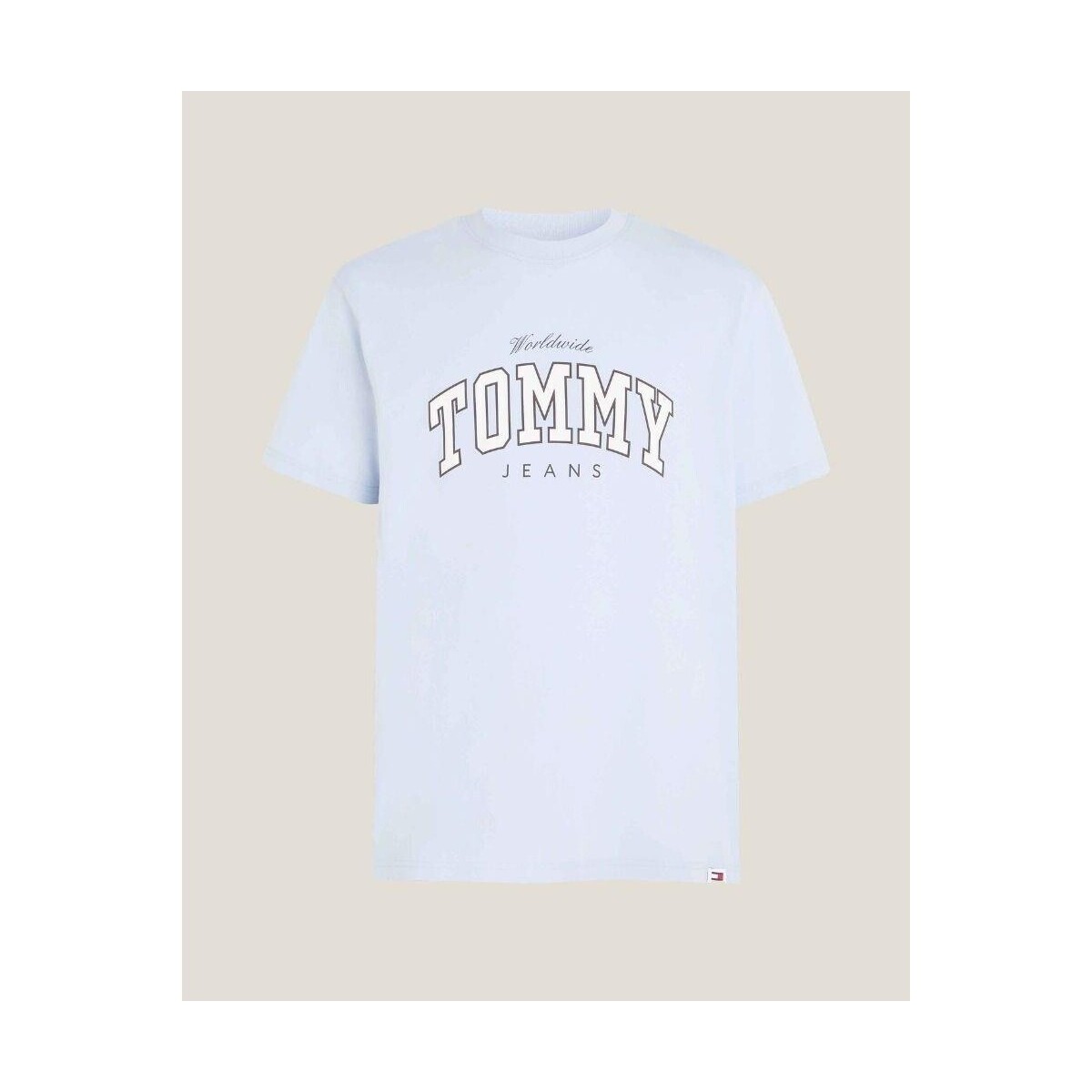Vêtements Homme T-shirts manches courtes Tommy Hilfiger DM0DM18287C1O Bleu