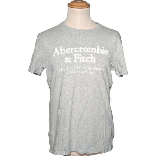 Vêtements Homme T-shirts & Polos Abercrombie And Fitch 36 - T1 - S Gris