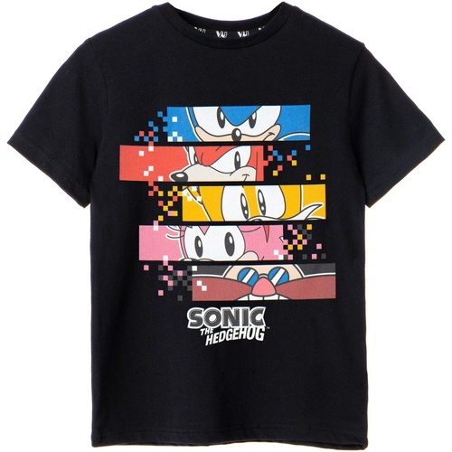 Vêtements Garçon T-shirts manches longues Sonic The Hedgehog NS7393 Noir