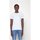 Vêtements Homme T-shirts manches courtes Tommy Jeans DM0DM15381 Blanc