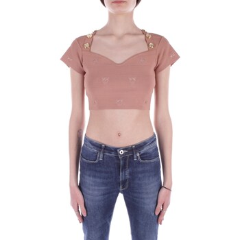 Vêtements Femme T-shirts Deluxe manches courtes Pinko 102882 A1LK Marron