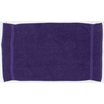 Maison & Déco Pulls & Gilets Towel City PC6075 Violet