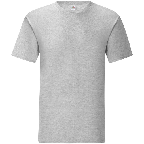 Vêtements Homme T-shirts manches longues Fruit Of The Loom SS430 Gris