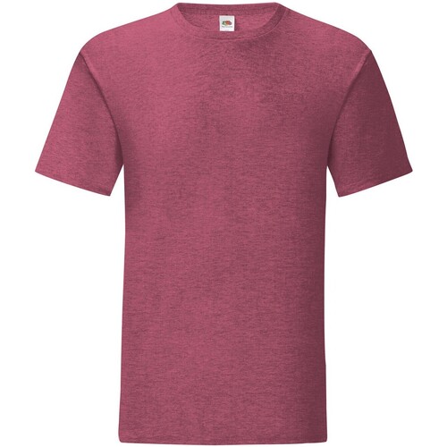 Vêtements Homme T-shirts manches longues Fruit Of The Loom Iconic 150 Multicolore