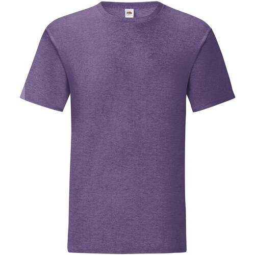 Vêtements Homme T-shirts manches longues Fruit Of The Loom SS430 Violet