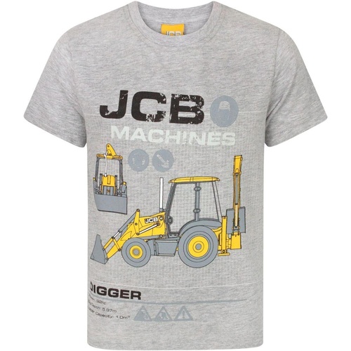 Vêtements Enfant T-shirts manches courtes Jcb NS7641 Gris