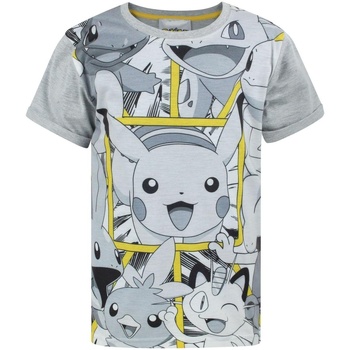 Vêtements Garçon T-shirts manches longues Pokemon  Gris