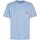 Vêtements Homme T-shirts manches courtes Tommy Jeans  Bleu