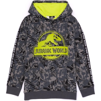 Vêtements Enfant Sweats Jurassic World: Camp Cretaceous NS7648 Gris