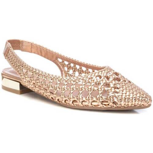 Chaussures Femme Derbies & Richelieu Xti 14236803 Marron