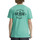 Vêtements Homme T-shirts manches courtes DC Shoes Chain Gang Vert