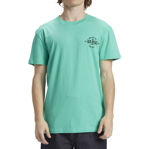 Vêtements Homme T-shirts manches courtes DC HARLEY Shoes Chain Gang Vert