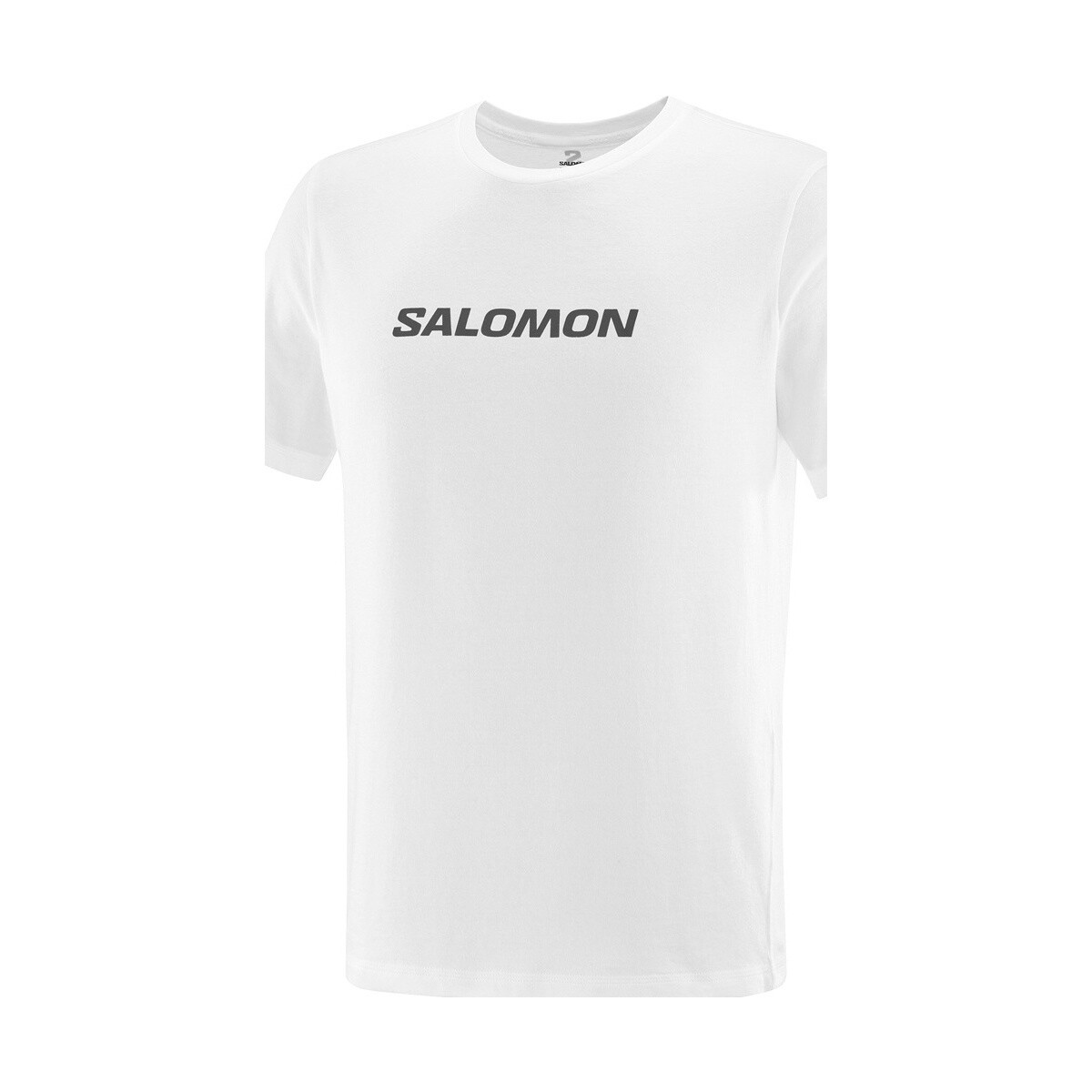 Vêtements Homme Chemises manches courtes Salomon SAL LOGO PERF SS TEE M Blanc