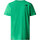 Vêtements Homme Polos manches courtes The North Face M S/S SIMPLE DOME TEE Vert