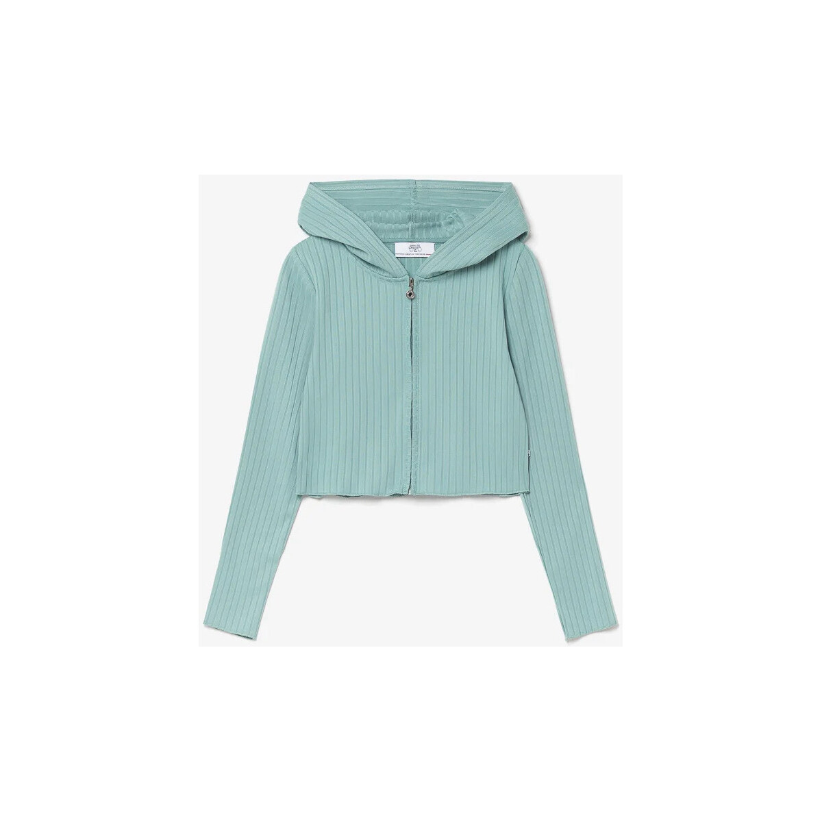 Vêtements Fille Gilets / Cardigans Shorts & Bermudas Veste courte pouligi vert d'eau Vert
