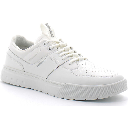 Chaussures Homme Baskets mode Timberland Maple Grove Sport Low Blanc