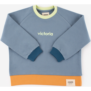 Vêtements Enfant Sweats V Things SWEAT-SHIRT COTON Bleu