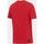 Vêtements Homme T-shirts manches courtes Nike St m nk gfx tee 2 Rouge