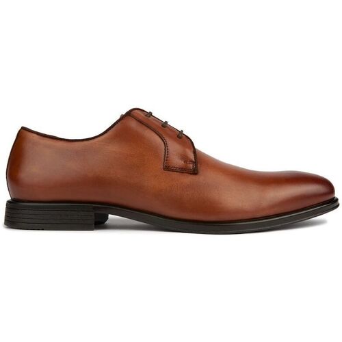 Chaussures Homme Derbies Harry Hern London Bromley Chaussures À Lacets Marron