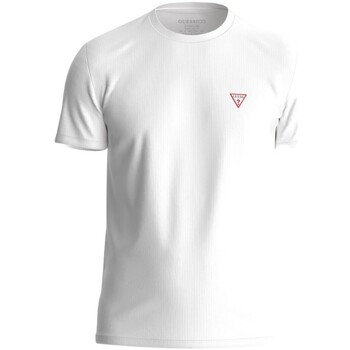 Vêtements Homme T-shirts manches courtes Guess M2YI24 J1314 Blanc