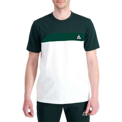 Vêtements Homme T-shirts manches courtes Le Coq Sportif 163978VTPE24 Vert