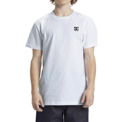 Vêtements Hyper T-shirts manches courtes DC Shoes Statewide Blanc
