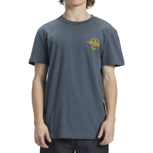 Vêtements Homme T-shirts manches courtes DC Sport SHOES Chain Gang Bleu