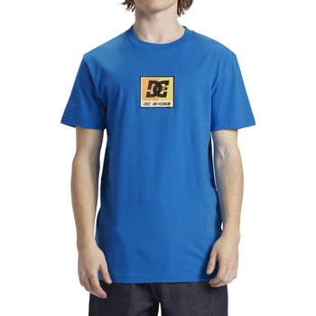 Vêtements Homme T-shirts manches courtes DC SHOES street Racer Bleu